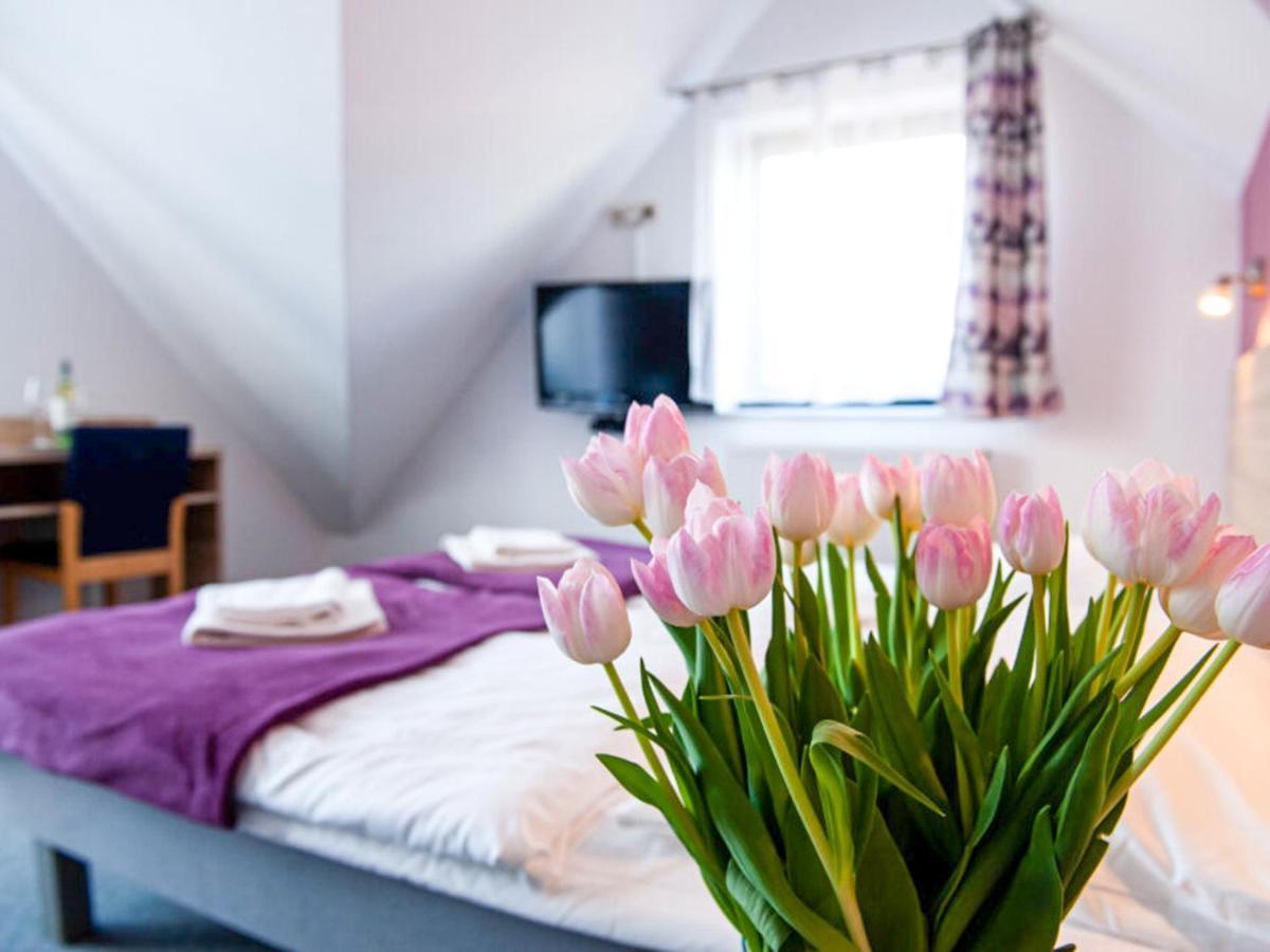 Bed and Breakfast Gosciniec Ptasi Zaulek Нехоже Экстерьер фото