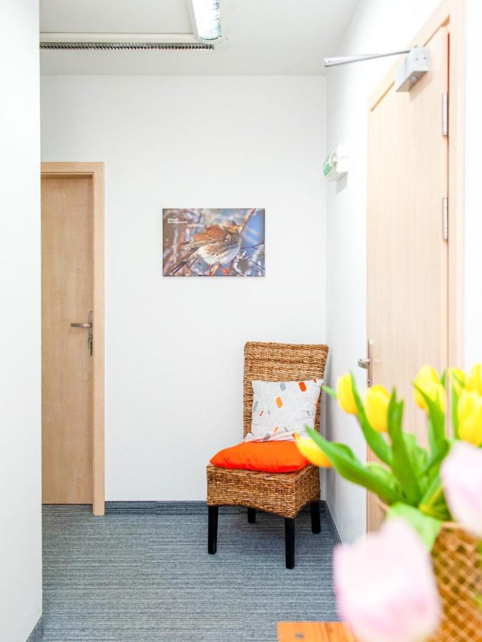 Bed and Breakfast Gosciniec Ptasi Zaulek Нехоже Экстерьер фото
